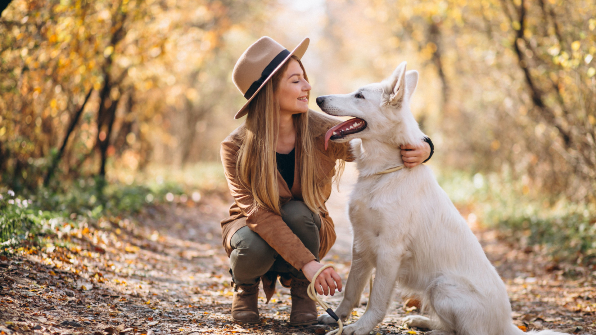 Les bienfaits de la compagnie canine : pourquoi avoir un chien améliore votre vie ?